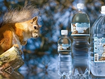 Монастырская